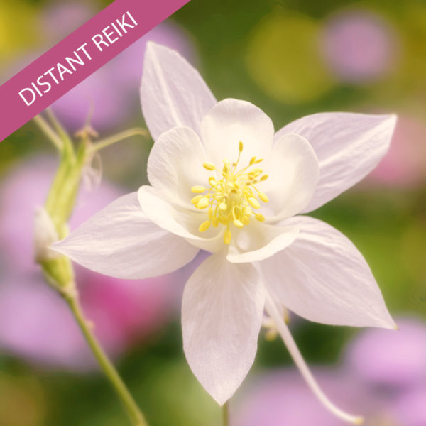 Five Distant Reiki Sessions Package