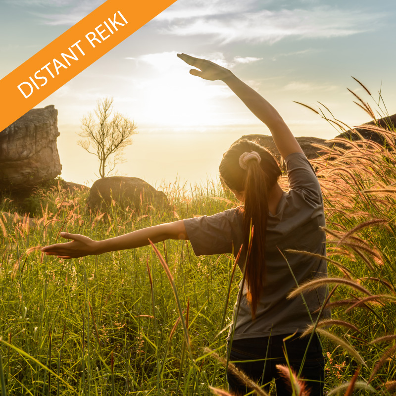 7 Distant Reiki Sessions Package