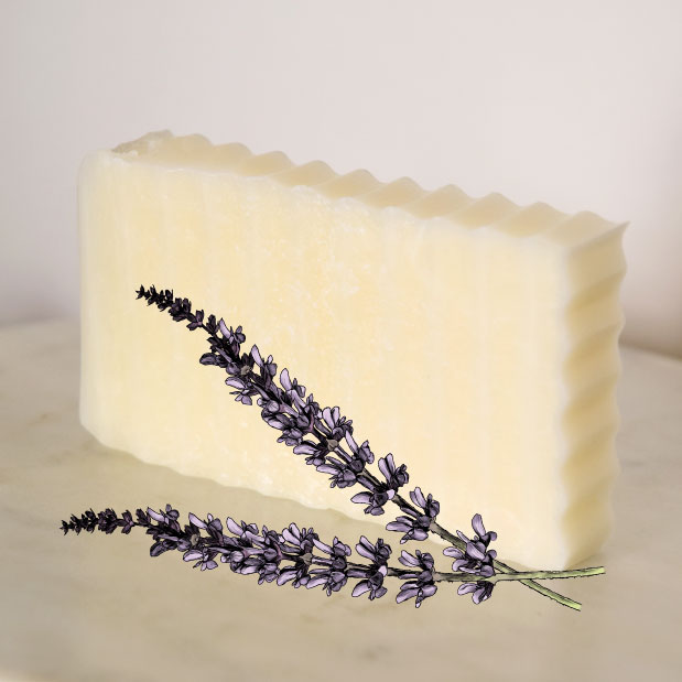 GOAT MILK LAVENDER SOAP