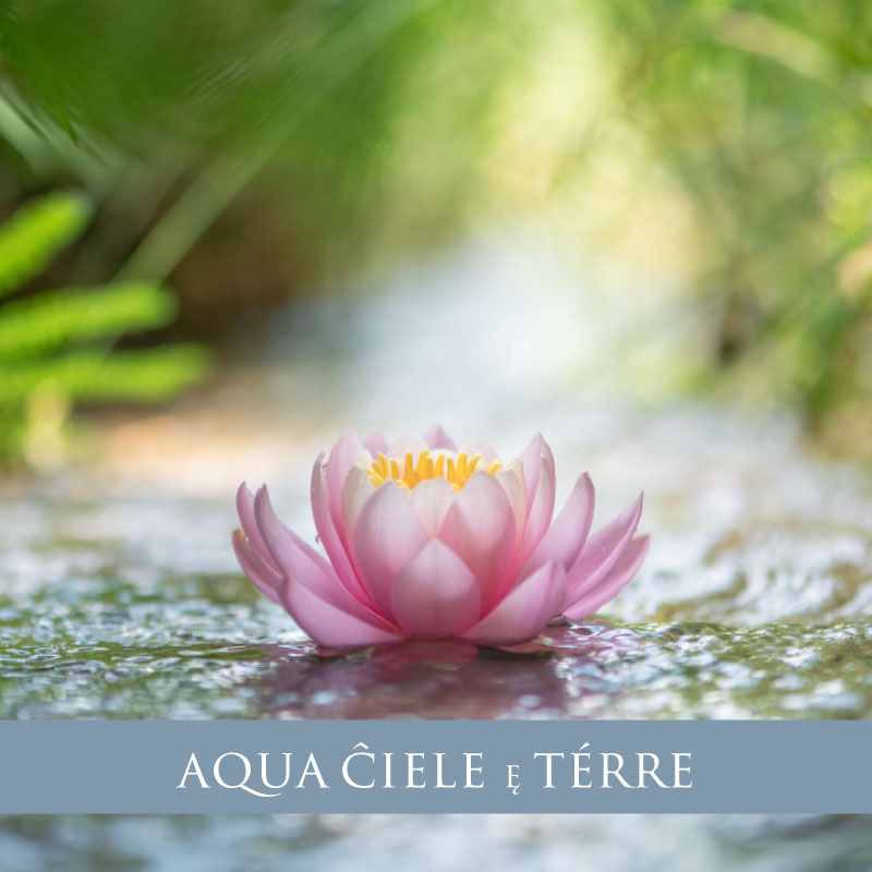 RECONNECT TO YOUR TRUE SELF